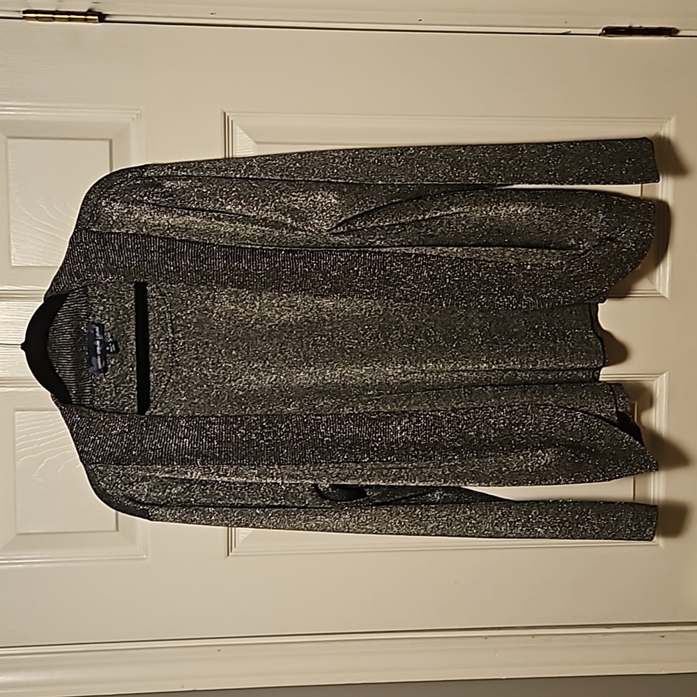 Susan Graver Silver Metallic Sweater
